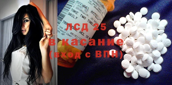 сатива Карпинск